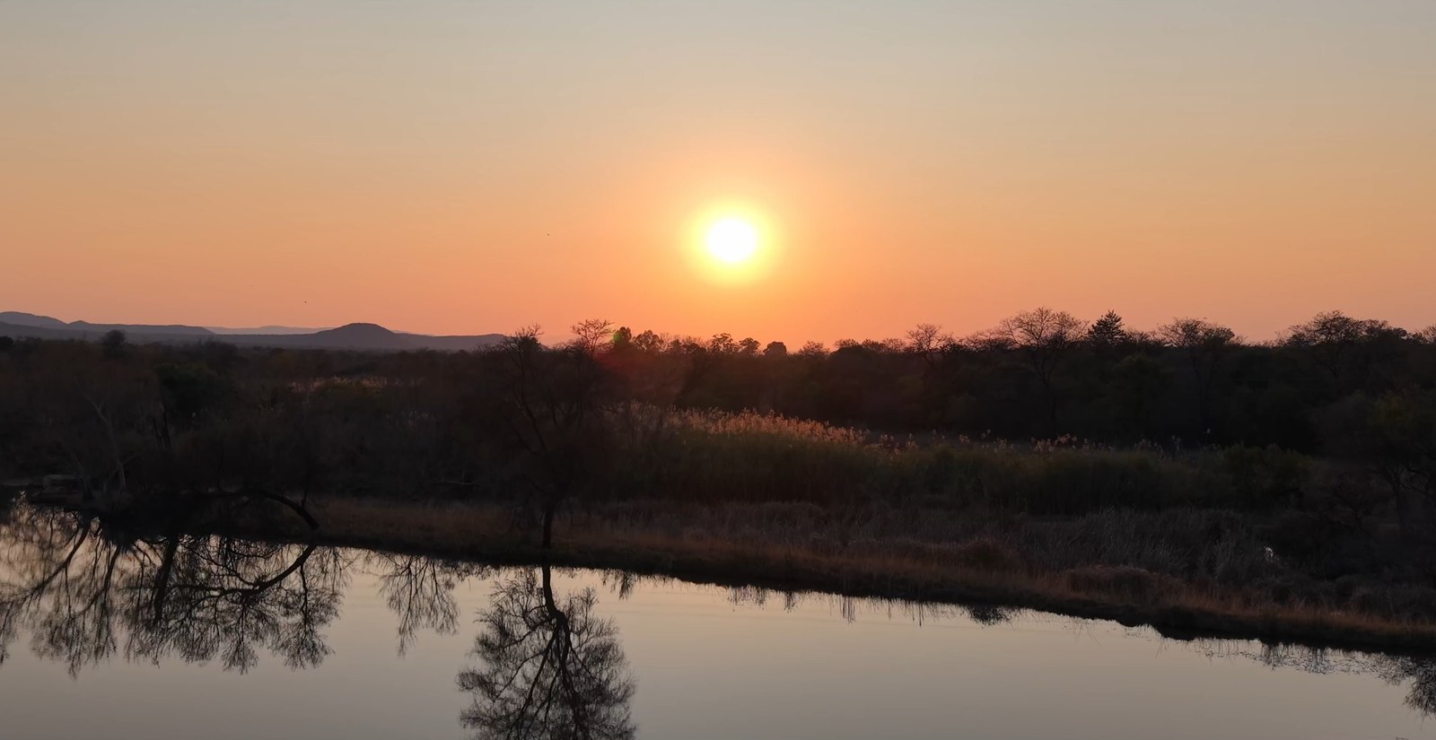 Colour graded frame — golden-hour bushveld sunset